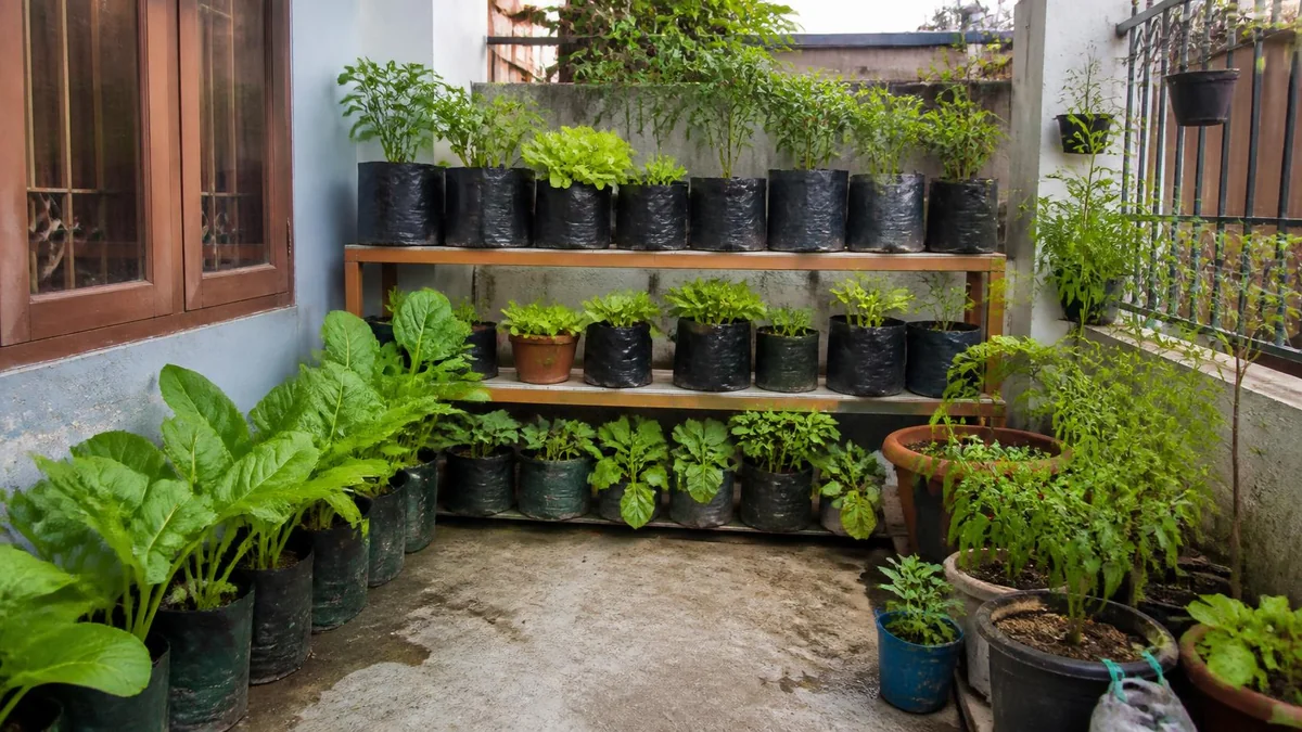 Pilih Sistem Kebun yang Sesuai dengan Lahan